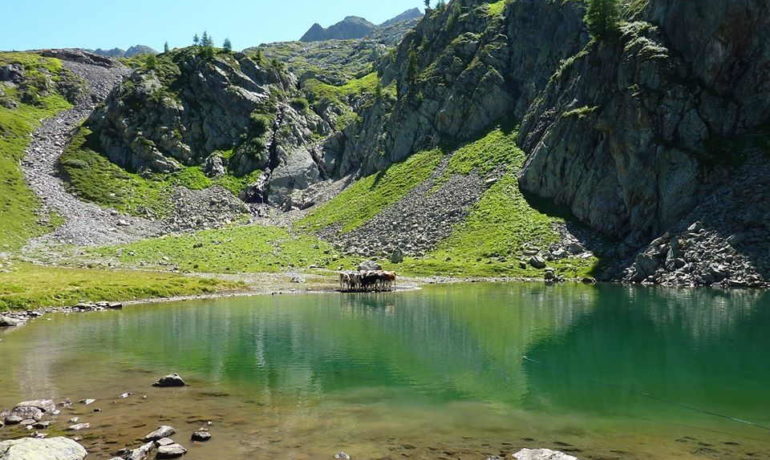 🚤 Lac des Ottans – Salanfe