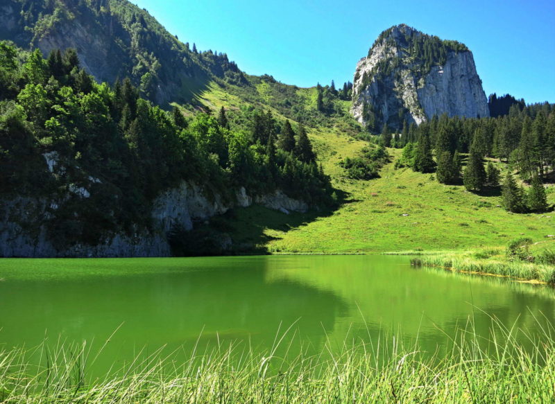 Le lac de Nervaux