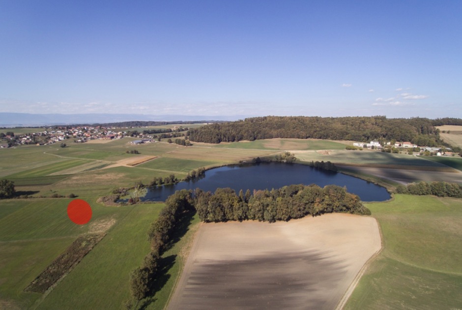 Le lac de Seedorf dans le district de la Sarine du canton de Fribourg.