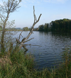 🚤 Lac de Seedorf – Noréaz