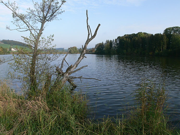 Le lac de Seedorf