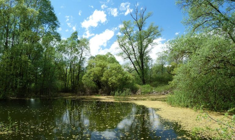 🚤 Etang de la Bernoise – Bavois