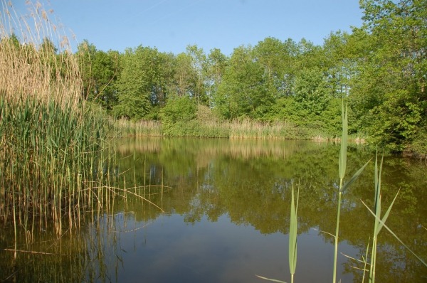 L'étang du Buron.
