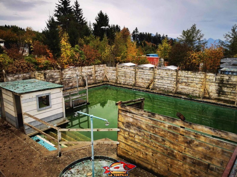 La zone de la piscine.