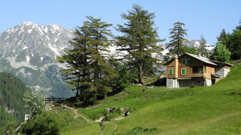 Le chalet "déguisé" en chalet. 