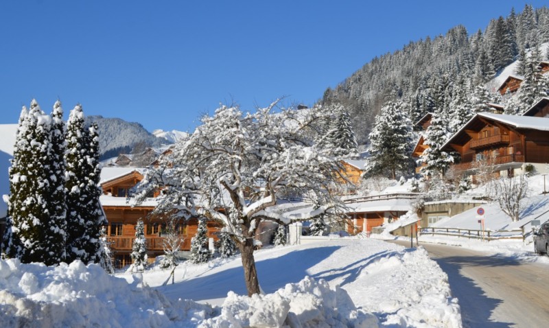 Le village de Rougemont fait partie des plus beaux villages de Suisse romande