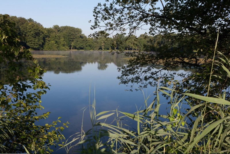 L'étang du Milieu