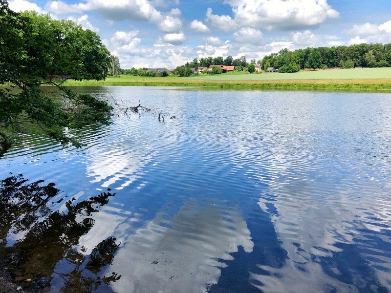 L'étang du Milieu