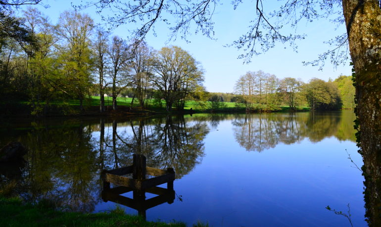 🚤 Étang du Milieu – Bonfol