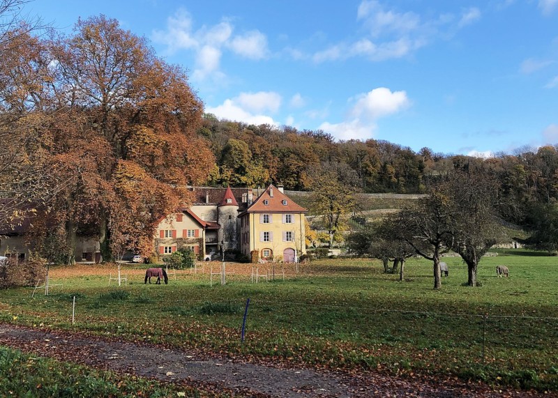 Le domaine de la Chartreuse avec son vignoble derrière lui