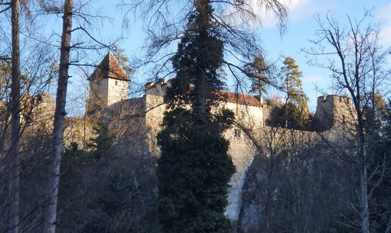 🏰 Château de Soyhières