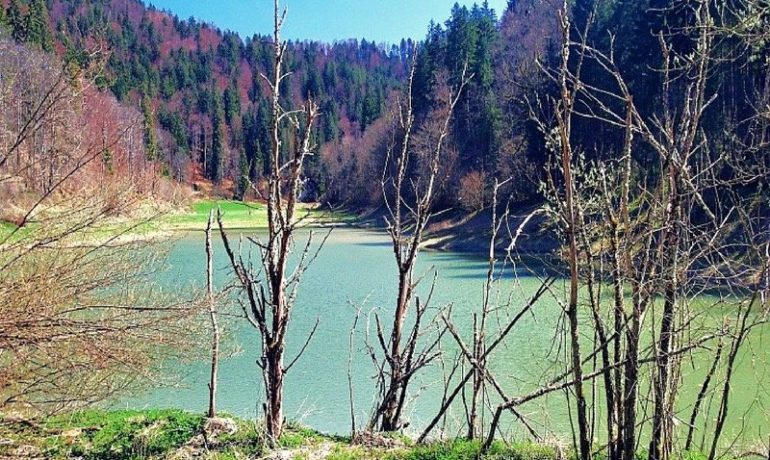 🚤 Lac du Cul des Près – Les Bois