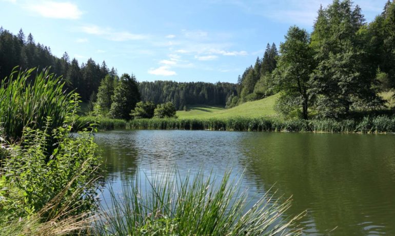 🚤 Étang des Beusses – Lajoux