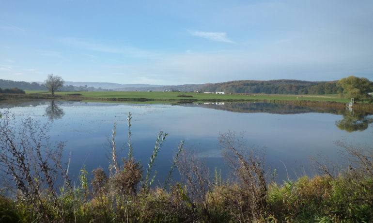 🚤 Étang des Coeudres – Damphreux