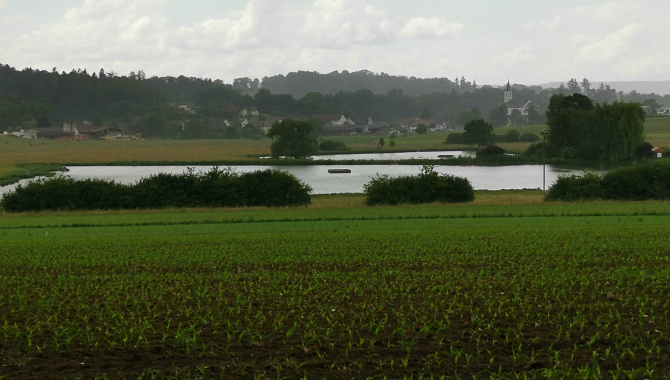 Les étangs de la pisciculture de Damphreux dont fait partie l'étang de Couedres.