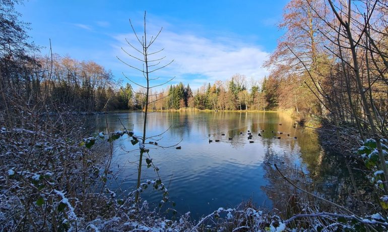 🚤 Étang de la Montoie – Cornol