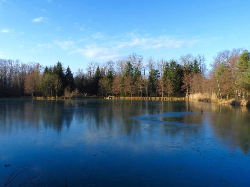 L'étang de la Monjoie