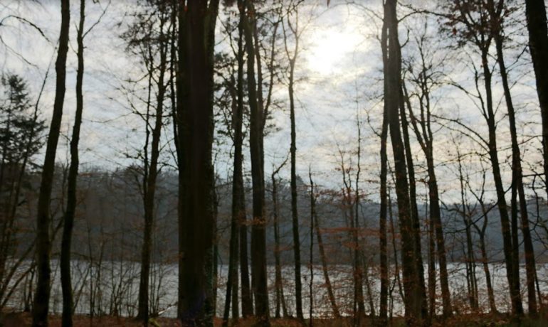 🚤 Neuf Étang – Bonfol