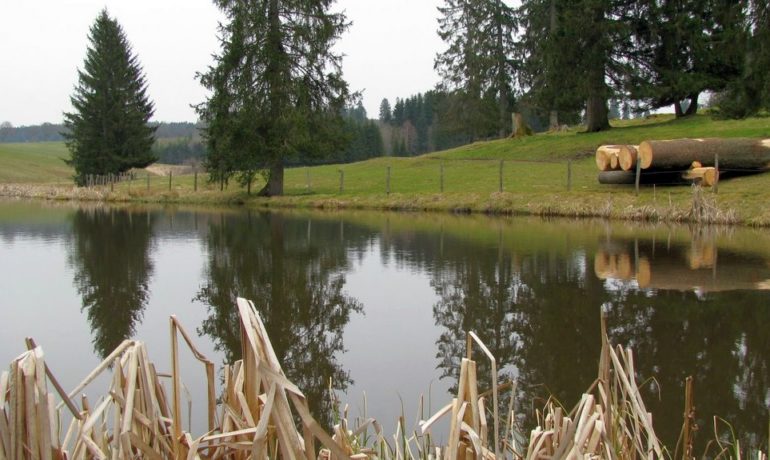 🚤 Étang de Sous-le-Crât – Lajoux