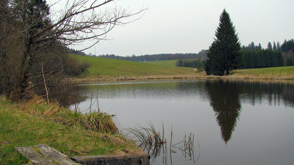 L'étang de Sous-le-Crât.