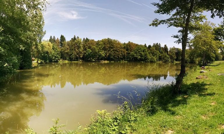 🚤 Étang de Vendlincourt