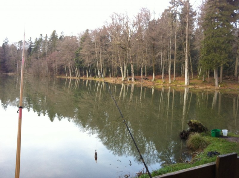 L'étang de Vendlincourt.