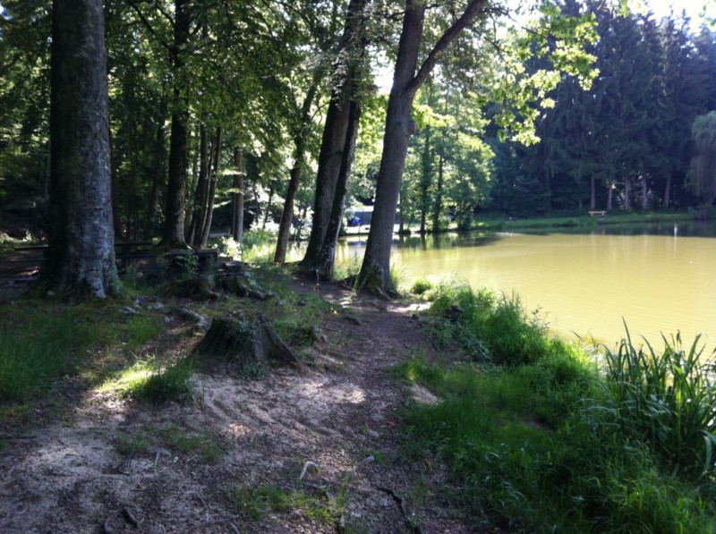 L'étang de Vendlincourt.