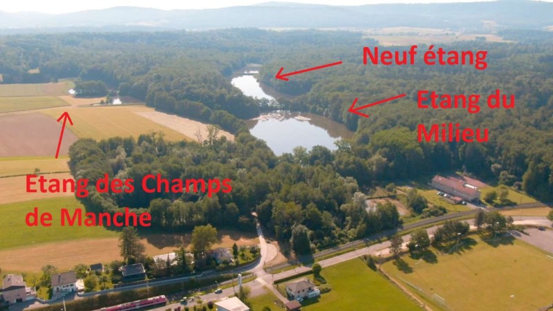 Les étangs des Champs de Manche, le Neuf étang et l'étang du Milieu.