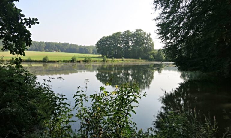 🚤 Étangs des Champs de Manche – Bonfol