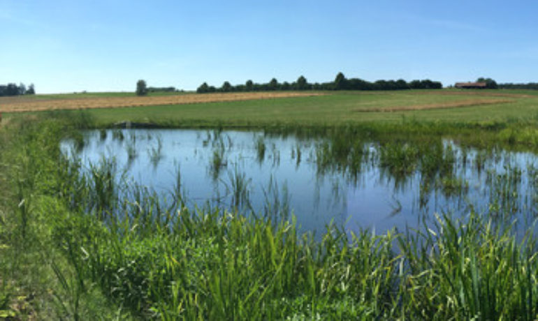 🚤 Étangs des Queues de Chat – Bonfol