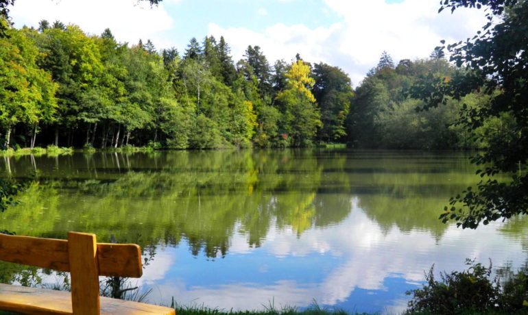 🚤 Étangs Rougeats – Bonfol