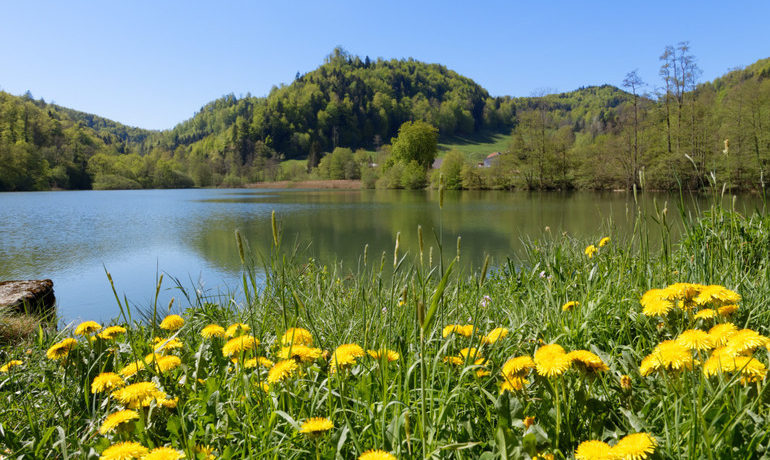 🚤 Etang de Lucelle – Pleigne