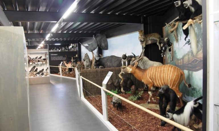 🐎 L’Arche de Noé – Vicques