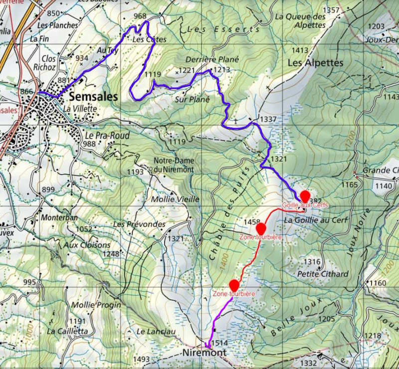 La carte du parcours avec la route en bleu et le chemin en rouge. Si on est motivé on peut continuer le chemin jusqu'au sommet du Niremont à 1514 m (chemin violet) et profiter de la magnifique vue. Ceci rallonge le chemin total de 1.5 km et 45 minutes.