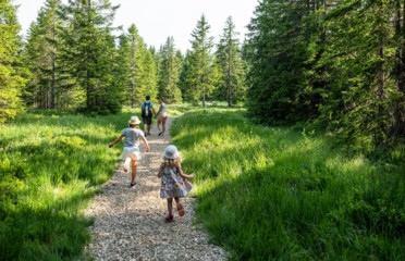 🌾 Tourbière Les Mauvaises Places – Semsales