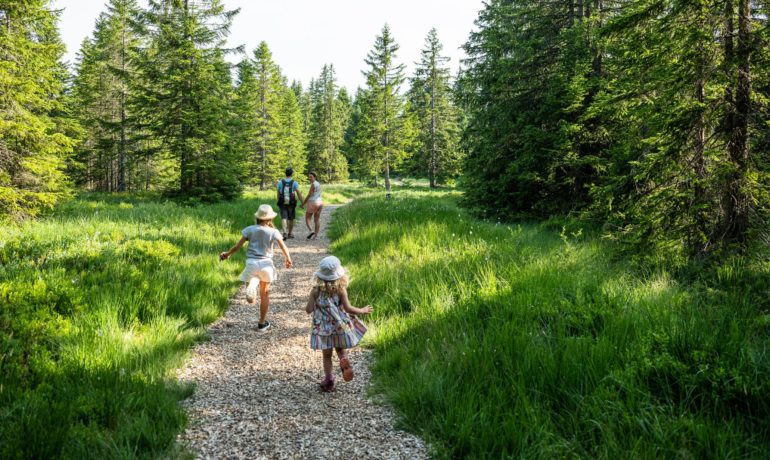 🌾 Tourbière Les Mauvaises Places – Semsales