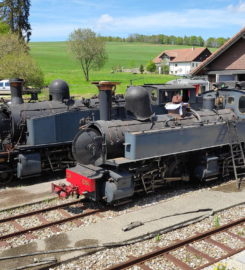 🚂 La Traction – Train à Vapeur des Franches-Montagnes