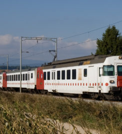 🚆 Train Fribourg ↔ Morat ↔ Ins
