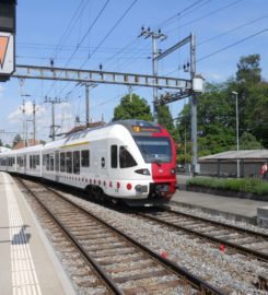 🚆 Train Fribourg ↔ Morat ↔ Ins
