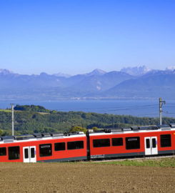 🚆 Train Nyon ↔ St-Cergue ↔ La Cure