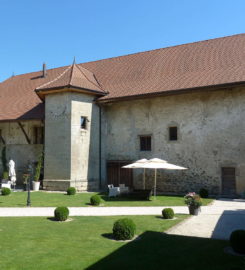 🏰 Château de Vuissens – Estavayer