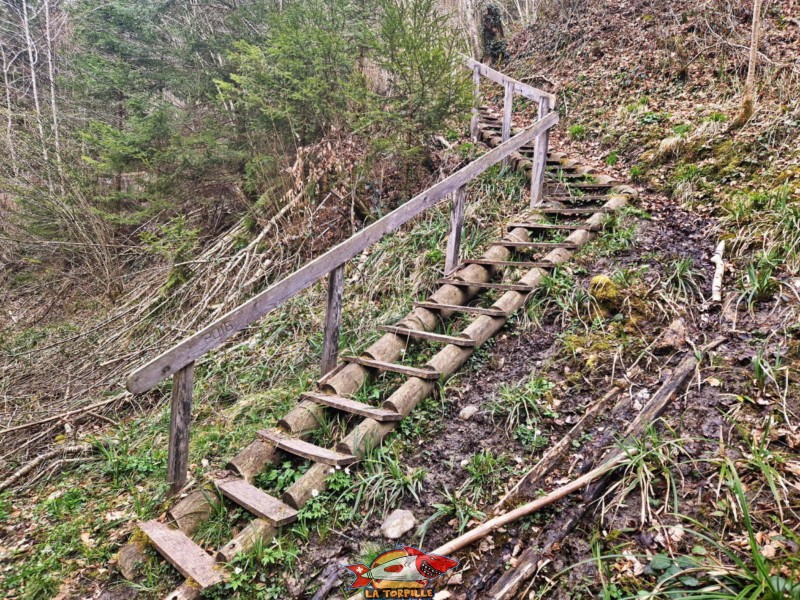 Le chemin continue en porte pente et se termine par des escaliers qui permettent d'accéder au lit de la rivière le Flon de Carrouge. Cascade de la Tuayre - Vulliens