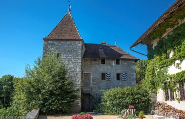 🏰 Château de Surpierre