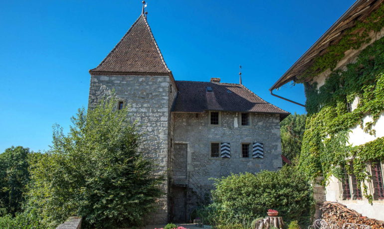 🏰 Château de Surpierre