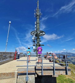 🚆🌼 Rochers de Naye – Train et Jardin Alpin – Veytaux