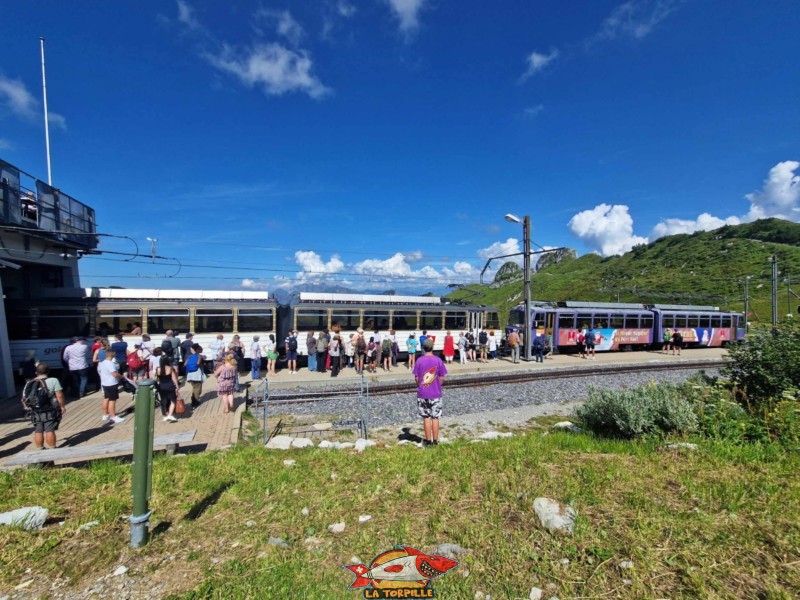 Un train en gare des Rochers de Naye.