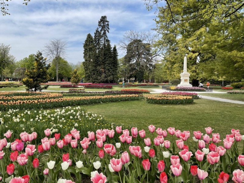 La fête de la Tulipe en 2022. château de morges, parc de l'indépendance