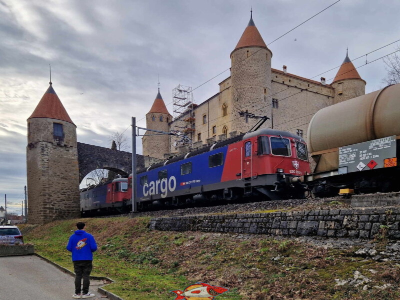 Le côté est du château, sur la droite, depuis le chemin du lac. De gauche à droite, la tourelle To2 et les tours T4, T5 et T1.