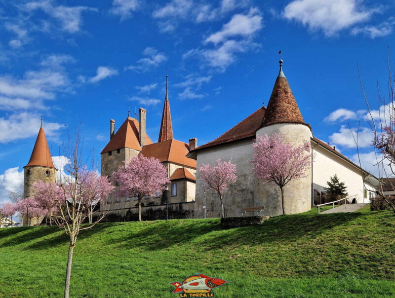 Le château d'Avenches.
