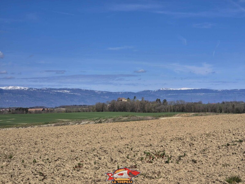 La vue à proximité de Bioley-Orjulaz, au sud du château de St-Barthelémy.
